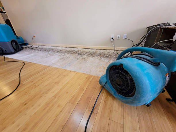 Professional Water Damage Repair technician working in Dellroy, OH